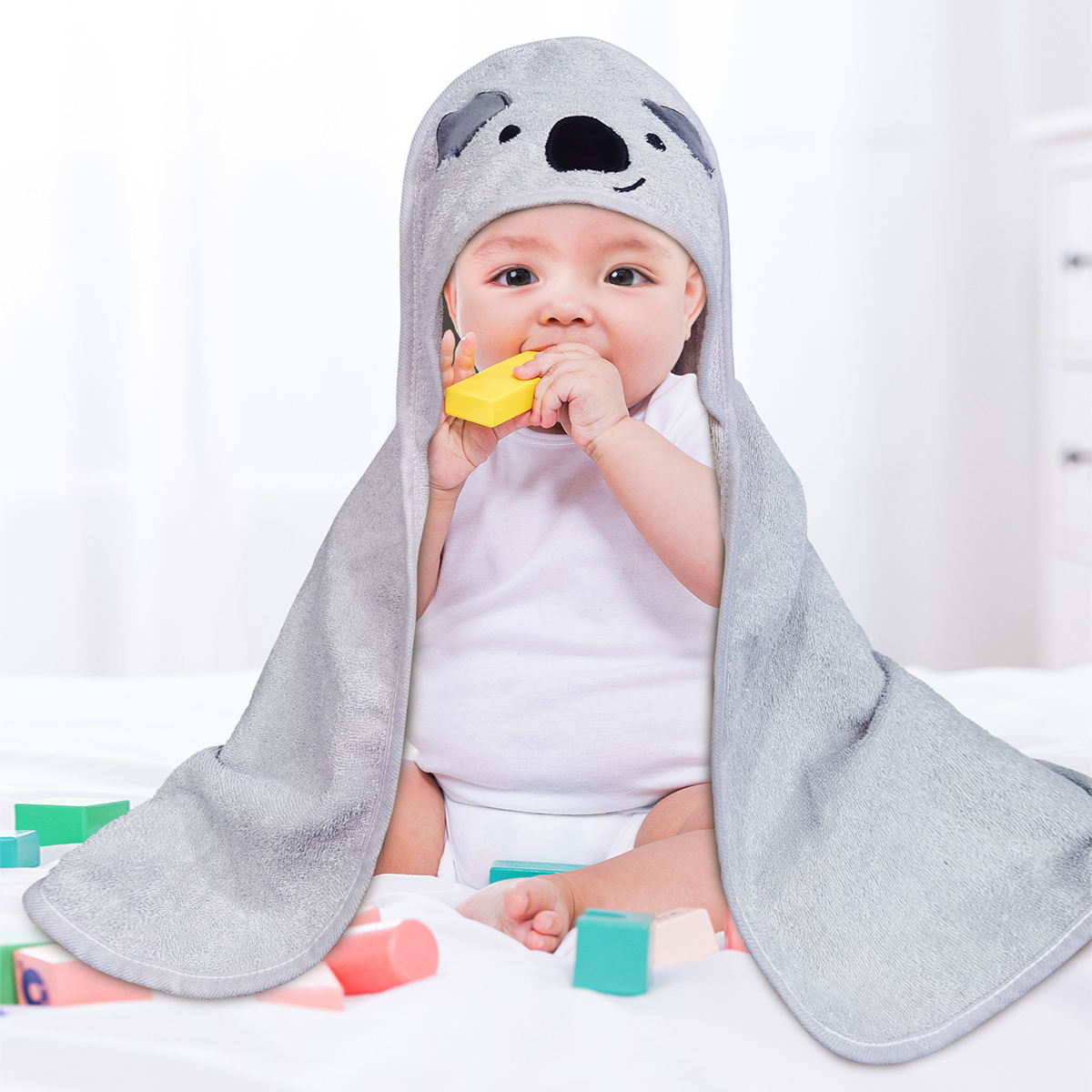 หมีโคอาล่าสีเทา