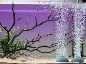 세라믹 에어 스톤 버블 미네랄 볼 모양 에어스톤 디퓨저 어항 펌프 액세서리 박스 맞춤 로고 - Product Image 2