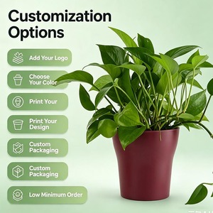 KIND 225g Simple Style PE Bag Classic Made in Vietnam Melamine 1L Capacity Garden & Home Use Flower <b>Pots</b> - Product Image 1