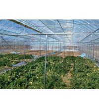 Serre hydroponique commerciale multi-voûtes et mono-voûtes de petite taille avec système de refroidissement automatique pour l'agriculture et le jardinage