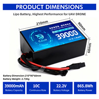 Batterie de drone à l'état solide CALH ultra longue durée de vie 39000mAh 6S 22.2V 800 cycles pour mini quadricoptère FPV -20C à 55C