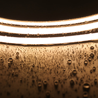 Led Smd2835 personnalisées étanches lumière flexible pour intérieur extérieur décor néons