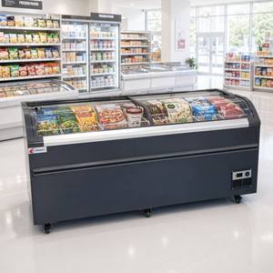 Congelador Comercial Vertical de Gran Capacidad para Alimentos Congelados, Tipo Isla - Product Image 6