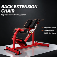 Peralatan Fitness Bodybuilding Berkualitas Tinggi Ekspor Langsung Pabrik, Bench Back Extension Komersial & Rumah Tangga dengan Garansi