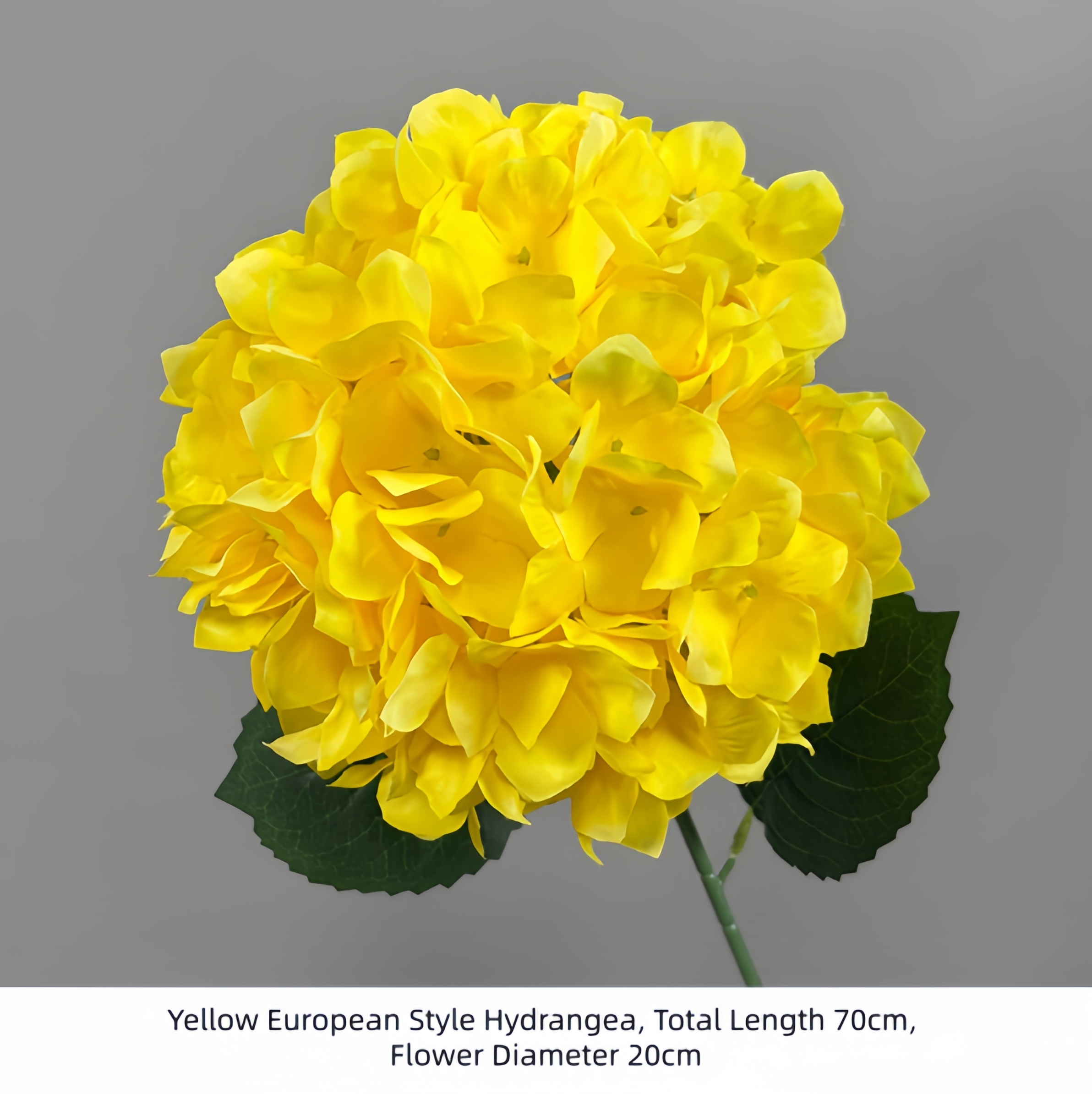 Yellow European Style Hydrangea
