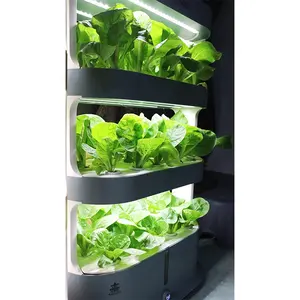 Factory Price Wholesale 4 Layers Hydroponic System Equipment Soilless