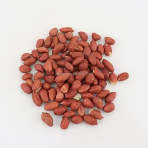 Atacado Raw Ground Nuts Amendoim cru pele vermelha