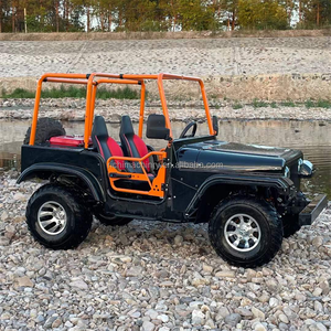 <span class=keywords><strong>Panique</strong></span> Achat Couleur Rose 2 Places Usine Vente Directe 4x4 Plage Buggy Visite Jeep Voiture 200 Club Jeep Go Kart Énergie Électrique - Product Image 6