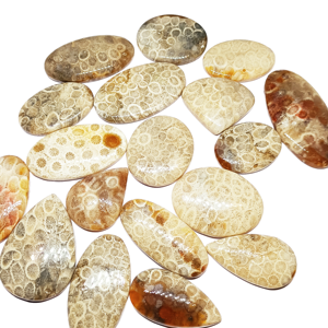 Cristales de Coral Fossilizado Natural de Primera Calidad, Mixtos, Lisos, Cabujón, Piedras Preciosas Sueltas, Hechas a Mano, para la Fabricación de Joyería, Suministro al por Mayor - Product Image 1