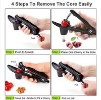 Roestvrijstalen messen Plastic Handmatig Smart Cherry Pitter Lock-ontwerp Milieuvriendelijk Veilig Huishoudelijk Handzaam Gemakkelijk groentegereedschap