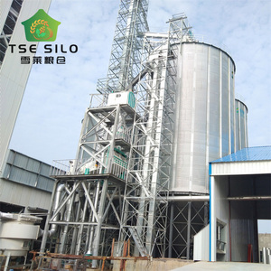 Elevatore a Tazze con Sistema a Nastro di Alta Qualità per lo Stoccaggio del Riso - Product Image 1