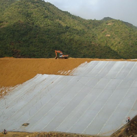 Géotextile non tissé haute résistance 100-800 GSM pour la stabilisation routière, le sous-couche de bassin et le rebouchage de murs de soutènement