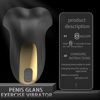 Vibrateur de gland oral OEM en gros, entraîneur de pénis 9 vitesses, retardateur d'éjaculation, étanche IPX7, jouets sexuels pour hommes adultes, vente en gros d'usine