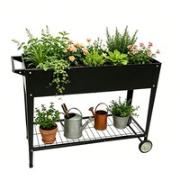 Bac à légumes surélevé sur roues en acier galvanisé, jardinière mobile avec étagère de rangement, montage facile, extérieur