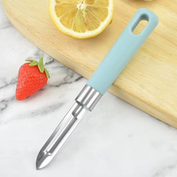 Draagbare handmatige roestvrijstalen groenteschiller met antislip kunststof handvat, lichtgewicht, roestbestendig keukenhulpje voor fruit