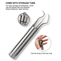 Ensemble de cure-dents réutilisables en acier inoxydable portable, étanche, mini outil de nettoyage buccal en métal, soin des dents, nettoyeur de bouche, fil dentaire