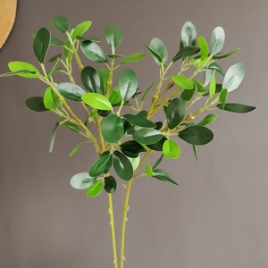 สเปรย์ <span class=keywords><strong>Ficus</strong></span> สีเขียวมันวาวเทียมใบใบ <span class=keywords><strong>Ficus</strong></span> สีเขียวแบบเต็มตัว - Product Image 2