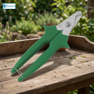 Coupe-ongles professionnels avec poignées vertes et lames en acier pour usage personnel, logos personnalisés de haute qualité. - Product Image 3