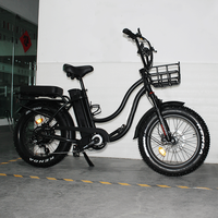 Vélo électrique de plage à batterie au lithium 7 vitesses 20 pouces Vélo électrique pour femmes Utilisation urbaine en ville