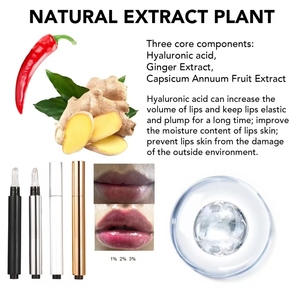 Brillant à lèvres liquide végétal en gros sous marque privée, repulpant, hydratant, waterproof, effet <span class=keywords><strong>injection</strong></span> transparente - Product Image 3