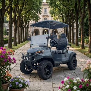 Carrito de <span class=keywords><strong>Golf</strong></span> Eléctrico con Marco de Aluminio <span class=keywords><strong>Gris</strong></span>, 2 Plazas, para Caza, con Motor de 5kw - Product Image 1