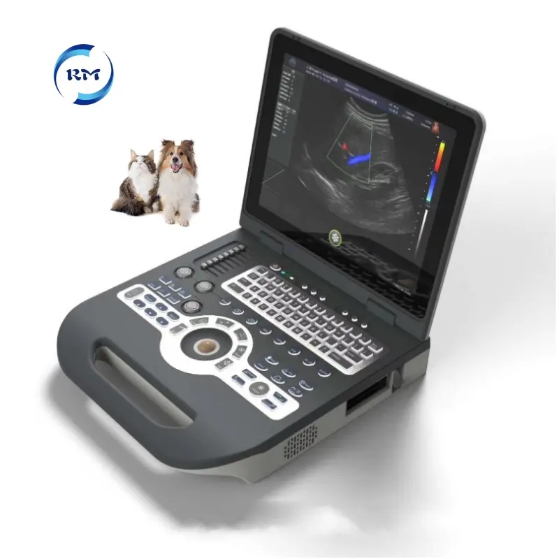 Rayman Veterinary 15 inch Notebook Color Doppler 4D Ultrasonic Diagnostic System ultrasound machine
