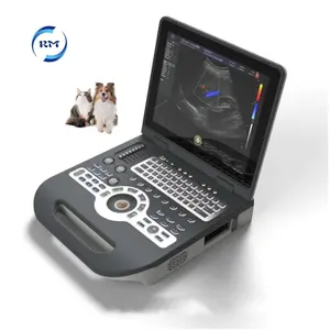 레이먼 수의학 15 인치 노트북 컬러 도플러 4D 초음파 진단 시스템 초음파 기계
