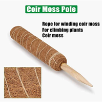 Support de plante en fibre de coco naturelle, panier suspendu en forme de boule de mousse, poteau pour plantes d'intérieur, totem en mousse, support de plante