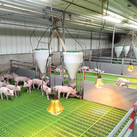 Équipement complet d'élevage porcin automatique pour ferme porcine avec conception