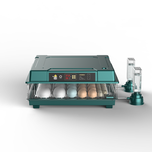 Nouvelle machine d'incubation automatique pour 42 œufs, incubateurs pour l'éclosion des œufs à vendre - Product Image 5