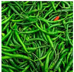 Piment vert frais de qualité supérieure, piment fort, frais de la ferme, qualité export, épice végétale pour la cuisine, le curry, les cornichons, usage quotidien - Product Image 2