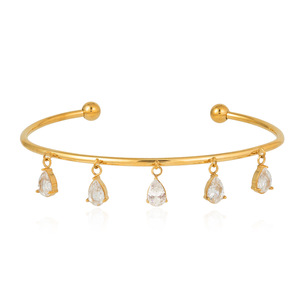 Bracelet à pampilles en zircon inspiré du Feng Shui, en acier inoxydable plaqué or 18 carats, serti à griffes, bijou unisexe, cadeau - Product Image 5