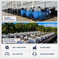 Groupe électrogène diesel de type ouvert 250 kVA 200 kW 300 kW 400 kW, triphasé 400 V, refroidi par eau, ATS, démarrage automatique, puissance de secours