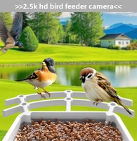 Mangeoire à oiseaux automatique solaire d'extérieur avec caméra de reconnaissance d'oiseaux par IA, étanche IP65, trémie de 2 L