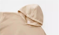 Sweat-shirt à capuche en polaire 350 g/m² pour l'hiver 2026, couleur unie, pull unisexe, chaud, écologique, confortable, coupe ample, sweat-shirt décontracté