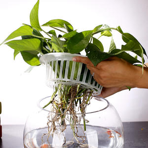 Hoge Kwaliteit Groothandel Kleine/Mini Ronde Glazen Draagbare <span class=keywords><strong>Aquarium</strong></span> Met Accessoires - Product Image 5