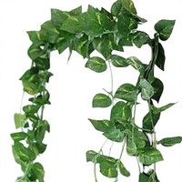 SAUDEEP INDIA Rangkaian Daun Hijau Buatan Tanaman Money Plant |   7.2 Kaki Bel Vine Creeper |   Daun Ivy Palsu Gantung yang Realistis |   Beranda