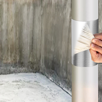 Patch de réparation de conduite d'eau domestique, retours de style industriel d'appartement, remplacement par un nouveau film étanche et anti-fuite