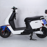 Moto électrique 1000W 60-80 km/h 50-60 km à batterie au plomb PN:H1, trottinette électrique portable longue portée pour adulte, idéale pour les trajets quotidiens en ville
