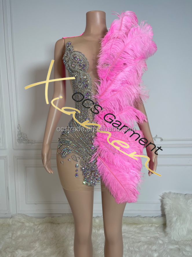 TH23072205 pluma rosa plata