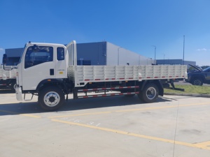 <span class=keywords><strong>Camion</strong></span> de fret Howo 4x2 neuf et d'occasion, prix usine, vente chaude, <span class=keywords><strong>camion</strong></span> léger 4x2 3t <span class=keywords><strong>5t</strong></span> 10t à vendre - Product Image 4