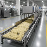 Machine automatique à spaghetti frais, machine à faire des nouilles, machine à faire des nouilles fraîches, machine électrique à faire des nouilles