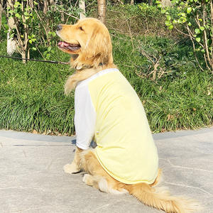 Gilet d'entraînement respirant pour chien de grande race, pour Golden Retriever, Samoyed, Labrador et autres races moyennes à grandes - Product Image 6