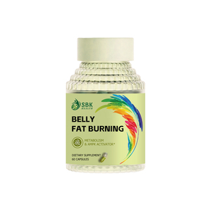 Custom Label Belly Fat Burning Capsules with Vitamin B6 B12 Healthcare Products Burn Belly Fat Support Weight Management Capsule - Product Image 1