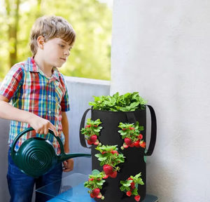 Bolsa de Cultivo de Fieltro Práctica y de Amplio Uso para Jardín/Invernadero - Product Image 5