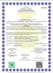 Rỗng Son Bóng Son Dưỡng Cuộn Trên Chai Ống <span class=keywords><strong>Container</strong></span> Tinh Dầu Con Lăn Ống Nhựa Thiết Lập Với Quả Bóng Thép Không Gỉ - Product Image 5