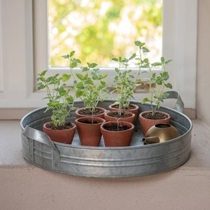 Pot de fleur décoratif de plateau de jardinière rond galvanisé fait à la main pour la décoration à la maison de fête de jardin et de plancher - Product Image 2