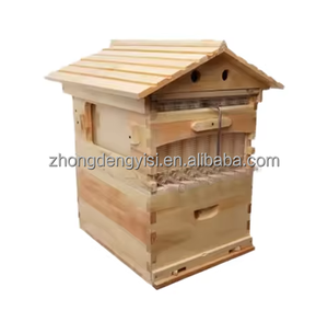 Nueva Caja de Madera para Colmena de Abejas en Oferta, Precio Competitivo, Colmena Automática de Flujo de Miel, 3 Meses de Garantía - Product Image 4