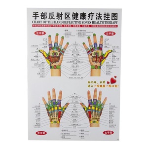 Human Meridian And Acupoint Wall Chart Set 7Pcs Plastic Bilingual Chinese English For Acupuncture Therapy - Product Image 5