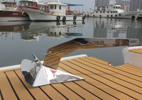 Quincaillerie Marine Ancre de Bateau Delta en Acier Inoxydable 10 kg, Poli Miroir